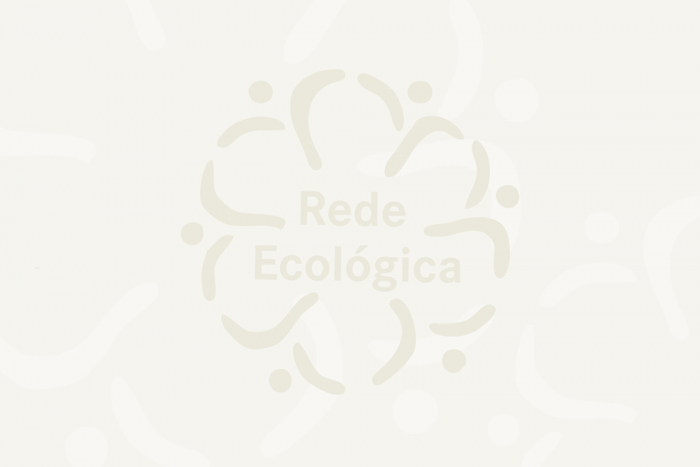 Feira Agroecológica de Campo Grande e a oficina culinária dos frutos da terra