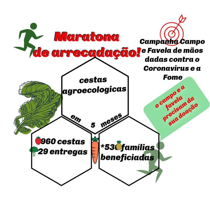 Retomada da campanha de arrecadação com novo nome: Mutirão Solidário de Cestas Agroecológicos!