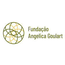 Balanço do território Fundação Angélica Goulart - FAG