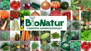 As sementes que compramos: Bionatur